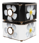 Amplificateur ultra haut de gamme personnalisable